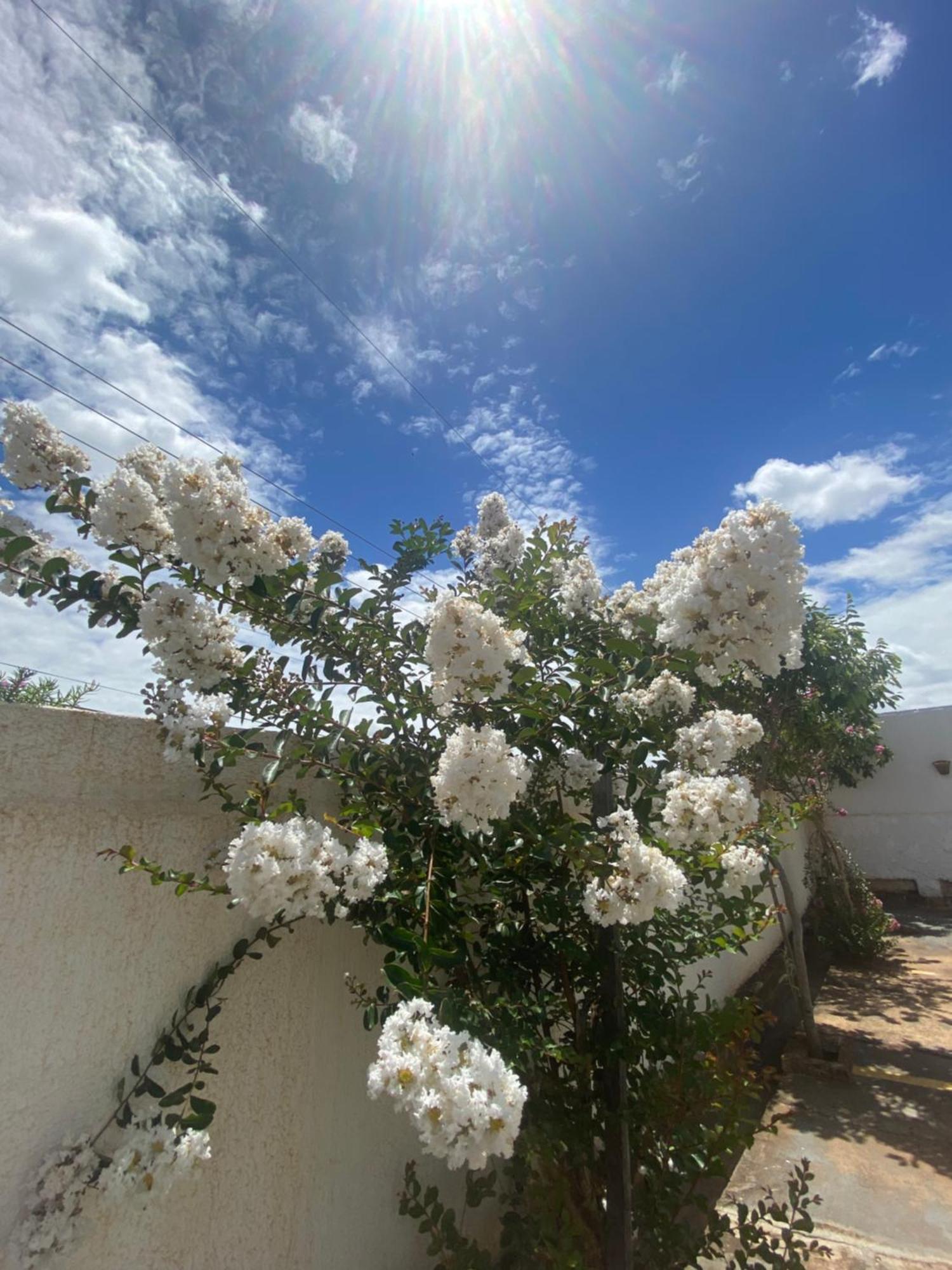 Queiroz Palace Hotel Siqueira Campos Exterior photo
